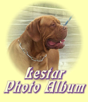 Lestar's photo album . Click on the image to open the album.