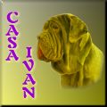 Link to CASA IVAN