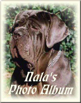 Click to see Nala's photo album